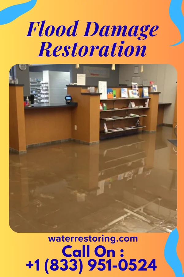 Flood Damage Restoration in East Rocky Hill, NJ