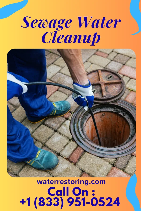 Sewage Water Cleanup in East Rocky Hill, NJ