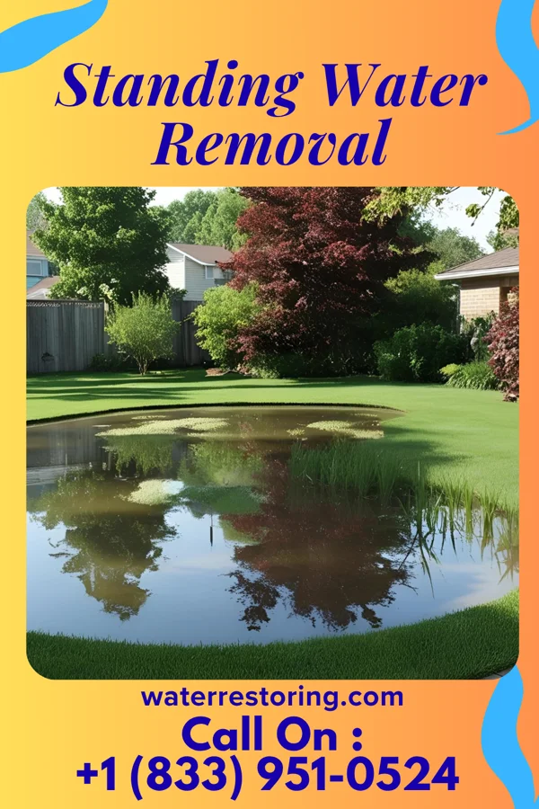 Standing Water Removal in East Rocky Hill, NJ